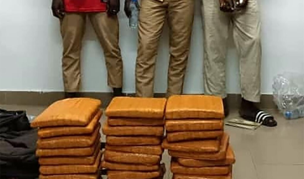 Côte d’Ivoire : Arrestation de Trois Étudiants à Aboisso pour Trafic de Cannabis