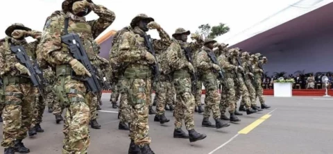 Classement 2024 des puissances militaires en Afrique, selon Global Fire Power