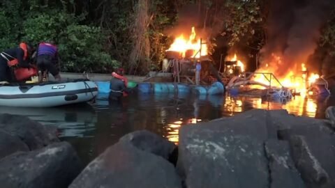 La journée nationale de l'arbre célébrée le 29 juillet à Songon Dagbé