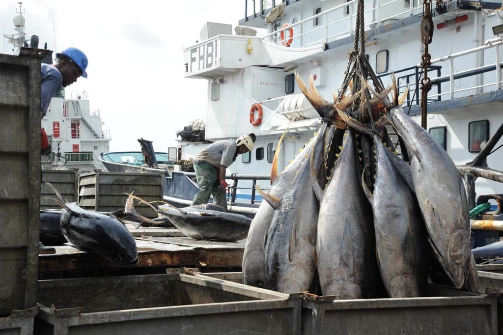 Contrôle de Routine : Entrepôt de poissons avariés saisi à Treichville