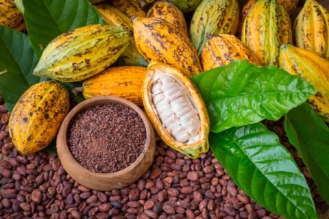 Promotion du cacao Ivoirien en Chine : Une stratégie ambitieuse