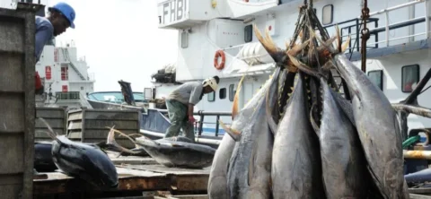 Drame au Terminal à Pêche d’Abidjan : un décès et des risques sanitaires alarmants