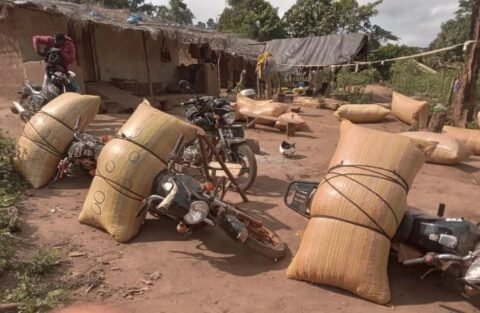 Trafic de produits agricoles : Des agents de l'État arrêtés à Korhogo après Sipilou